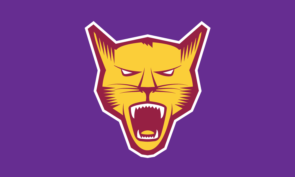 The Carnarvon Cougars' logo.